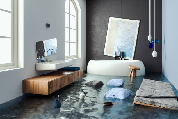 Best Professional water damage repair  in Berkley, MI