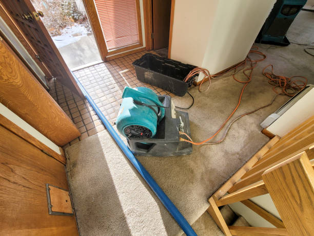 Best Flood restoration services  in Berkley, MI