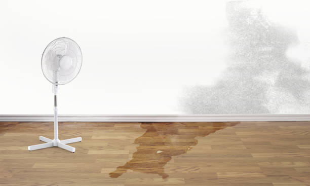 Reliable MI Water damage restoration Solutions