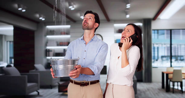 Best 24/7 water damage repair  in Berkley, MI